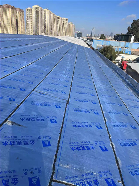 呈貢區老廠房屋頂SBS防水卷材施